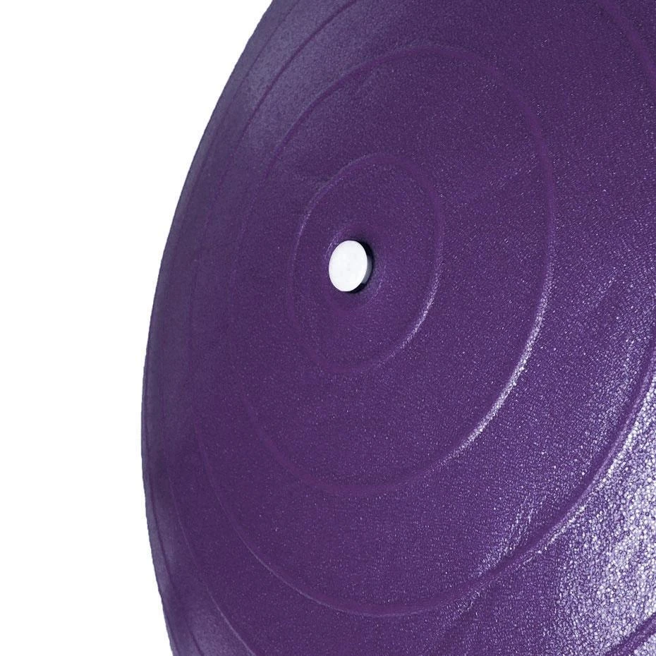 Kamuolys gimnastyczna Profit 55 cm violetinė su pompką DK 2102
