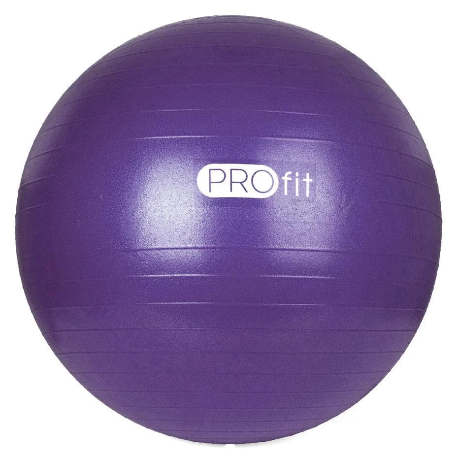 Kamuolys gimnastyczna Profit 55 cm violetinė su pompką DK 2102