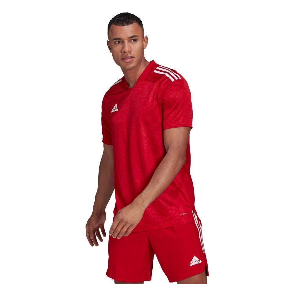 Vyriški marškinėliai adidas Condivo 21 JSY raudona GJ6802 (S)