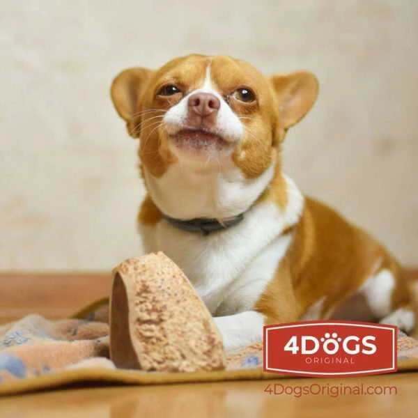 4DOGS – viržių šaknų šunų kramtukas – S