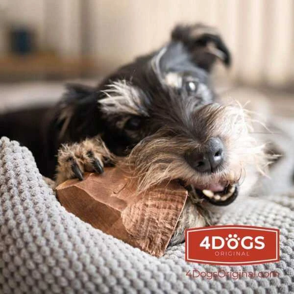 4DOGS – viržių šaknų šunų kramtukas – S