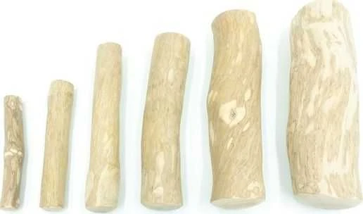 4DOGS Stick M su kavamedis