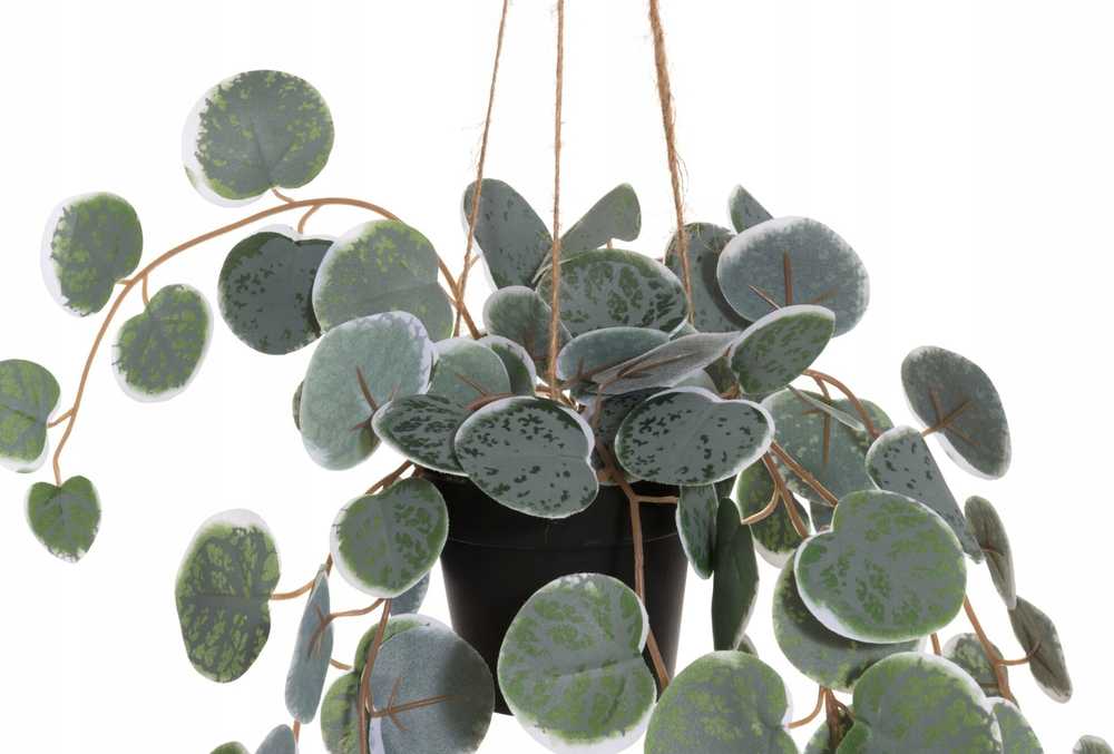 4Living dirbtinis kabantis augalas, 40 cm
