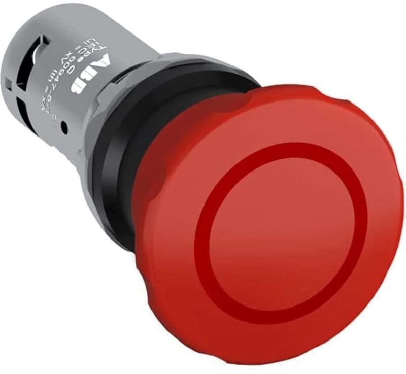 ABB CE4P-10R-02-SAUGUS MYGTUKAS 2NCRED