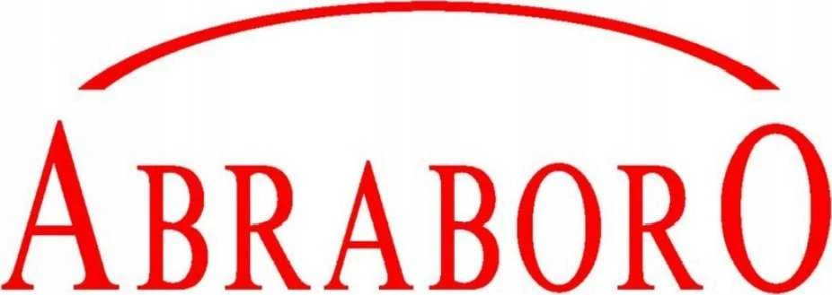 Abraboro Adapteris su SDS-Max na SDS-Plus, 200 mm, ABRABORO