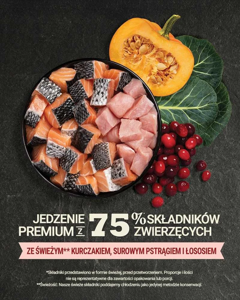 ACANA Highest Protein Indoor Cat - sausas kačių ėdalas - 4,5kg