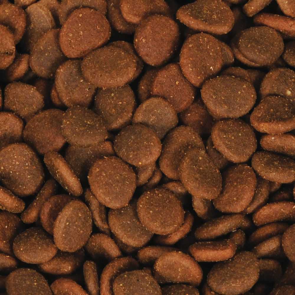 ORIJEN Cat 6 žuvis 5,4kg