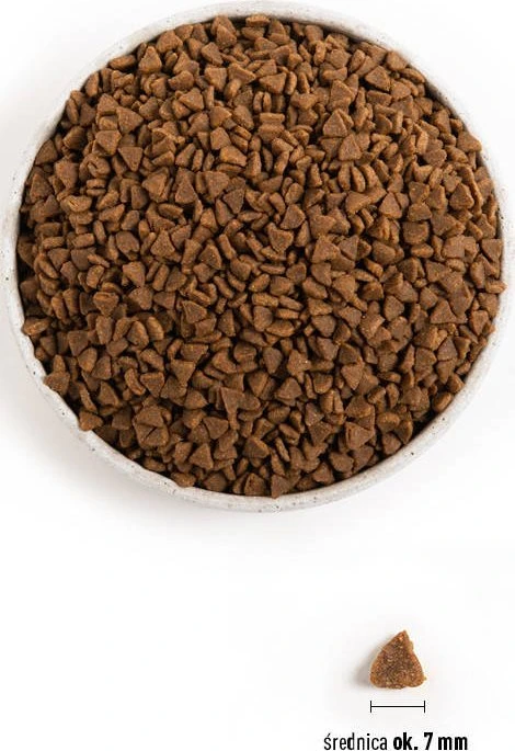 ACANA First Feast Cat sausas maistas katėms (Kitten) 1,8kg