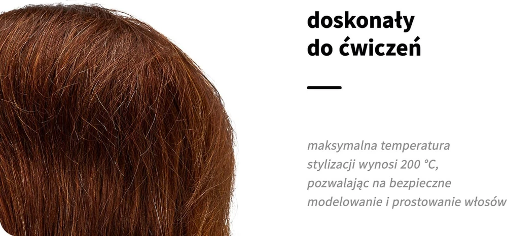 Activeshop Galva mokymams Gabbiano WZ3, ruda