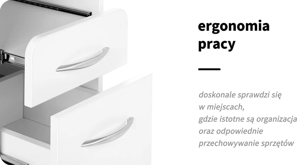 Activeshop Kosmetologinis vežimėlis Pro 969 (4 stalčiai)