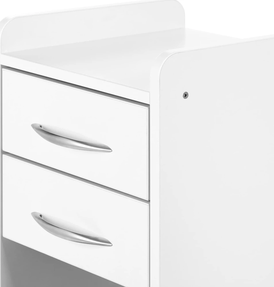 Activeshop Kosmetologinis vežimėlis Pro 969 (4 stalčiai)