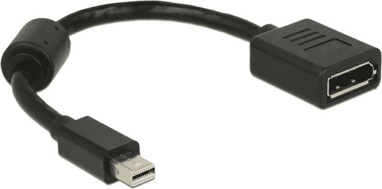 Mini DisplayPort į DisplayPort adapteris su ferito filtru