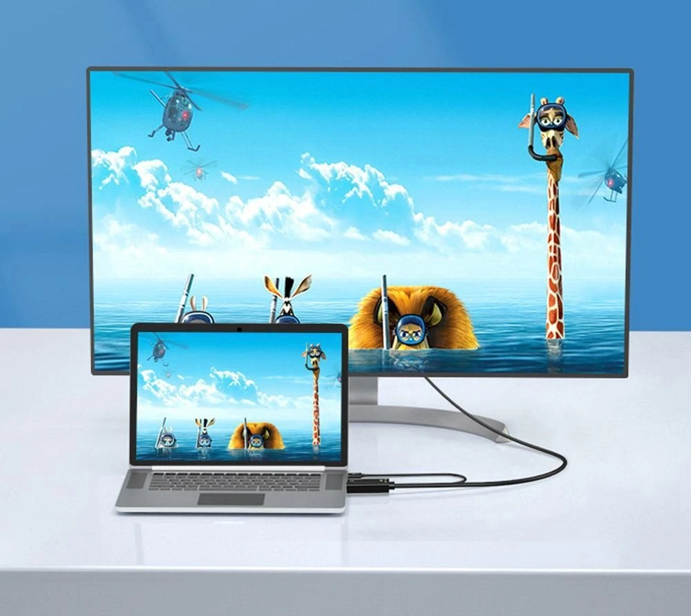 PremiumCord adapteris jungiantis kompiuterį prie monitoriaus