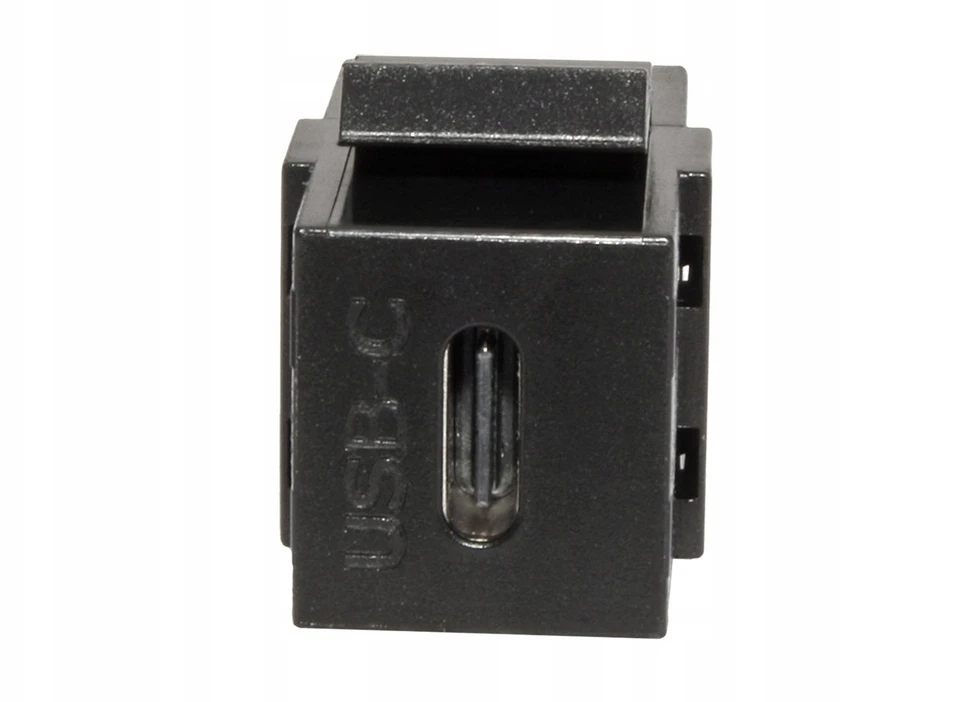 Adapteris USB Bachmann Keystone jungtis USB 3.2 C/C PD 100 W (19.07.2619)