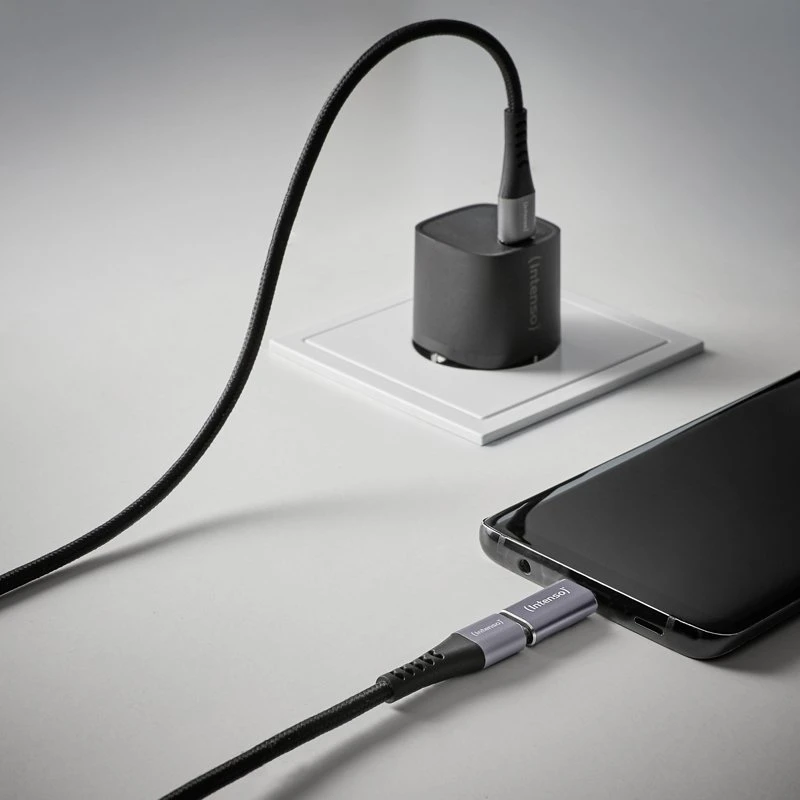Adapteris USB Intenso 7600913 USB-A - USB-C | USB-C - MicroUSB Sidabrinė (7600913)