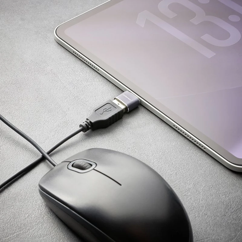 Adapteris USB Intenso 7600913 USB-A - USB-C | USB-C - MicroUSB Sidabrinė (7600913)