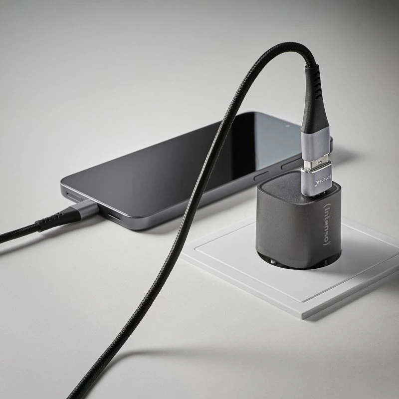 Adapteris USB Intenso 7600913 USB-A - USB-C | USB-C - MicroUSB Sidabrinė (7600913)