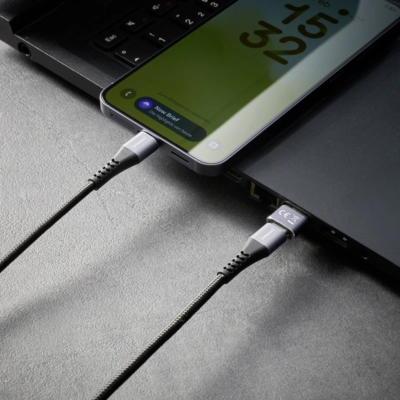 Adapteris USB Intenso 7600913 USB-A - USB-C | USB-C - MicroUSB Sidabrinė (7600913)
