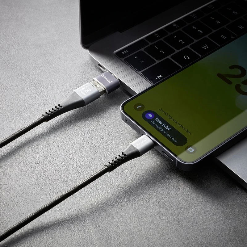 Adapteris USB Intenso 7600913 USB-A - USB-C | USB-C - MicroUSB Sidabrinė (7600913)