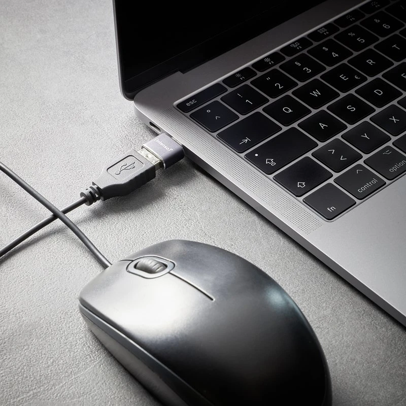 Adapteris USB Intenso 7600913 USB-A - USB-C | USB-C - MicroUSB Sidabrinė (7600913)