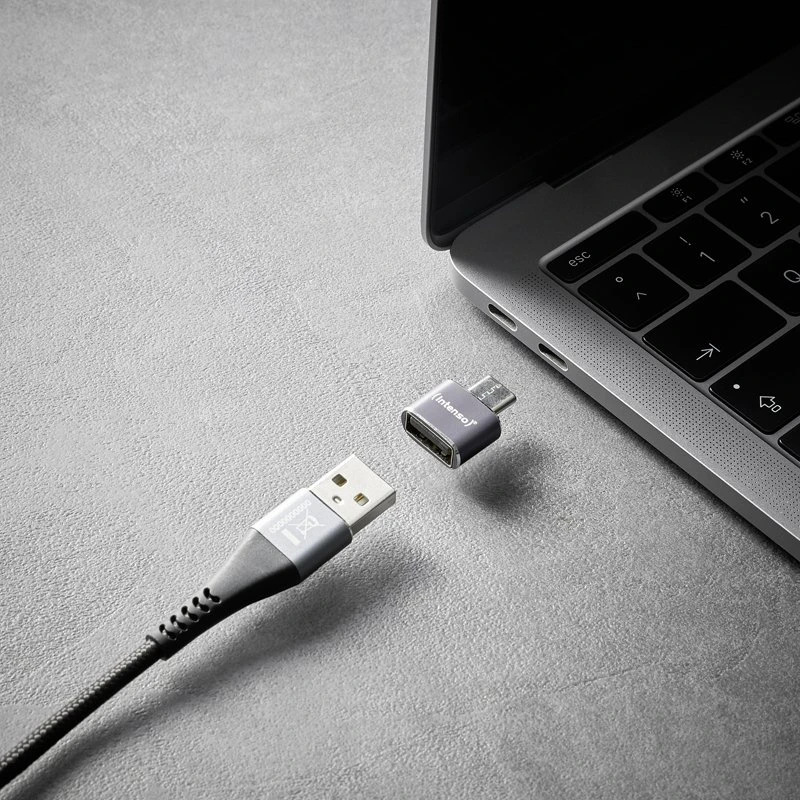 Intenso USB intensyvumo adapteris C480A USB-A - USB-C, pilkas (7600013)