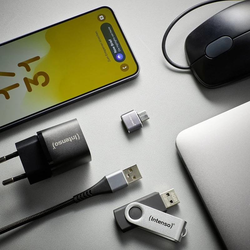 Intenso USB intensyvumo adapteris C480A USB-A - USB-C, pilkas (7600013)