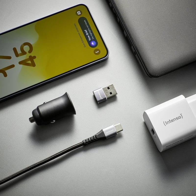 Pilka Intenso USB-A – USB-C adapteris (7600113)