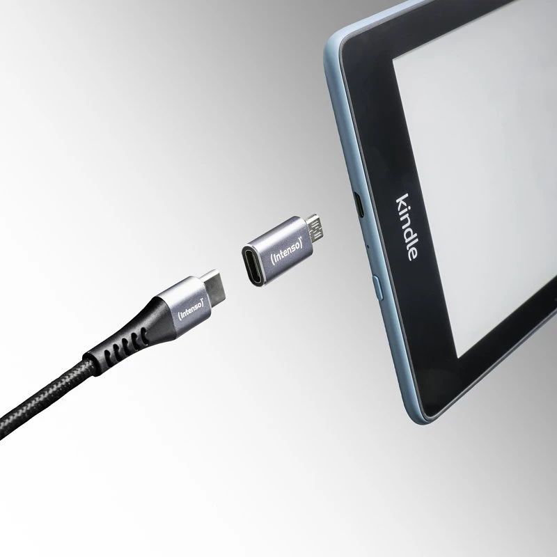USB adapteriai Intenso USB-C – MicroUSB Pilka (7600213)