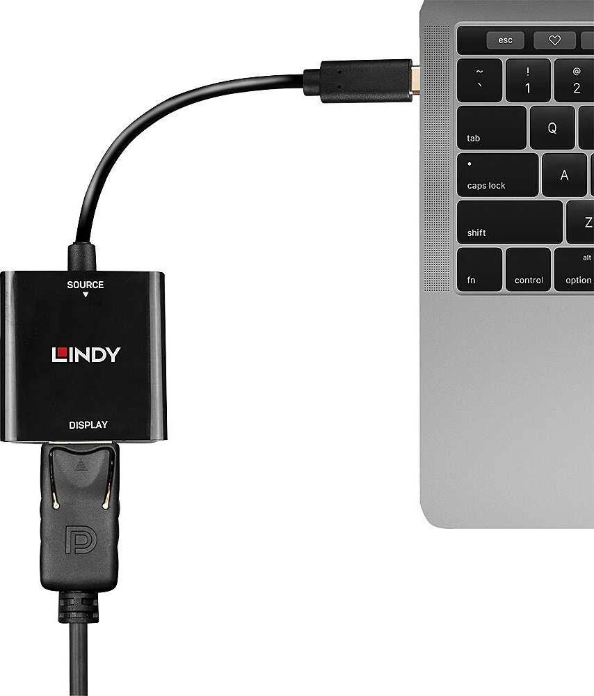 Adapteris - LINDY USB Type C į DisplayPort 4k144 Konverteris, Juodas