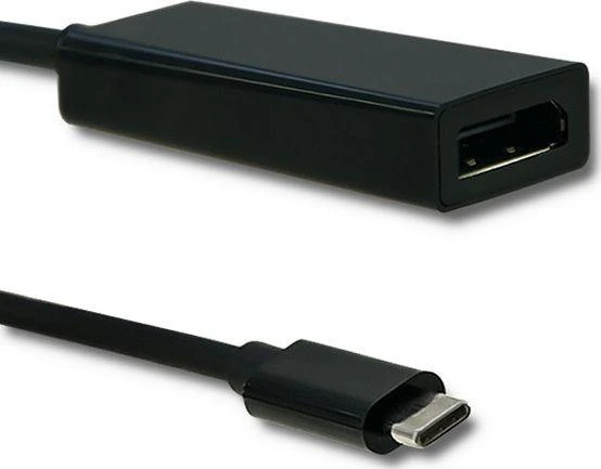 QOLTEC 50377 USB 3.1 adapteris C tipo vyriškas / DP moteriškas 4K 23cm