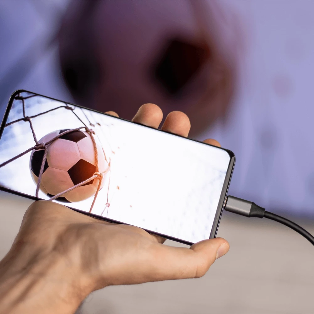 Adapteris USB Reagle USB-C - HDMI Pilkas