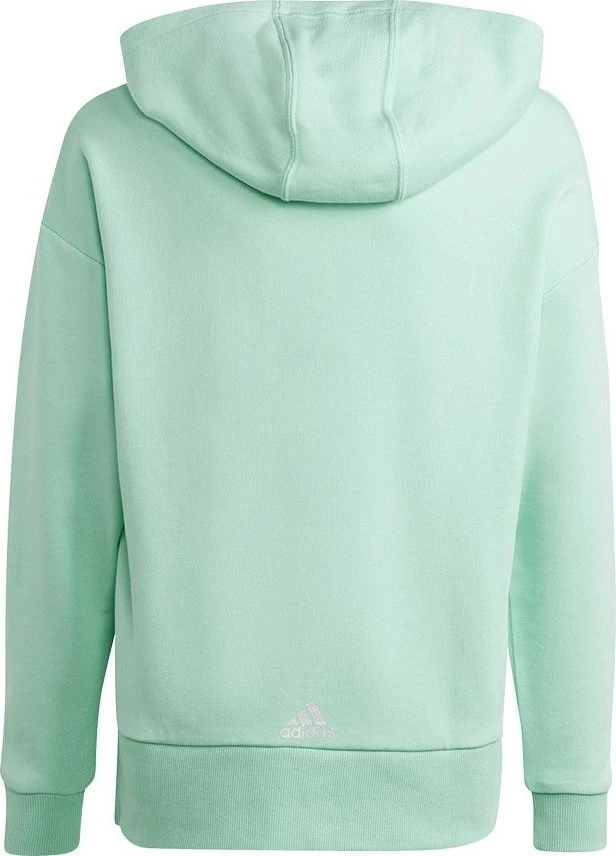 Adidas vaikiškas gobtuotas bliuzonas HR5825