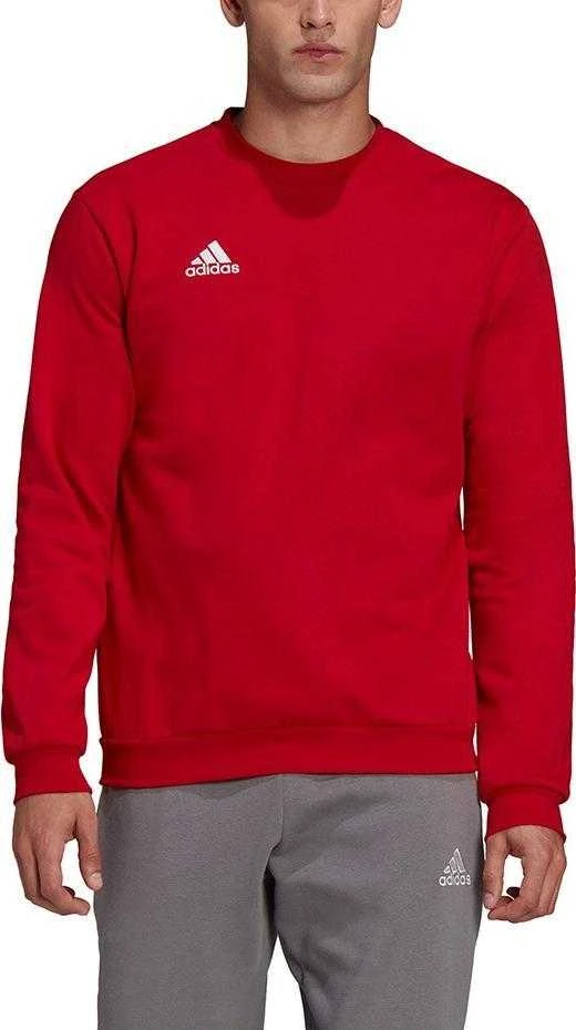 Vyriškas Džemperis adidas Entrada Raudonas HB0577 XL