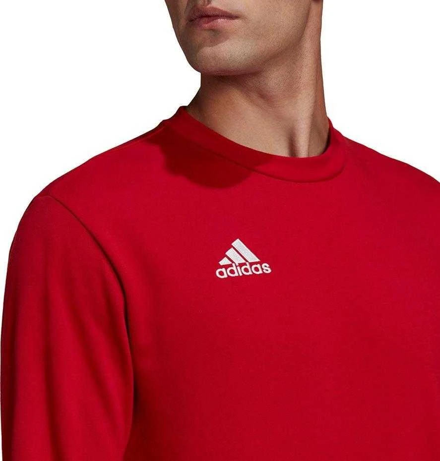 Vyriškas Džemperis adidas Entrada Raudonas HB0577 XL
