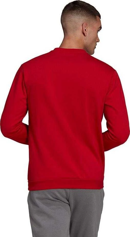 Vyriškas Džemperis adidas Entrada Raudonas HB0577 XL
