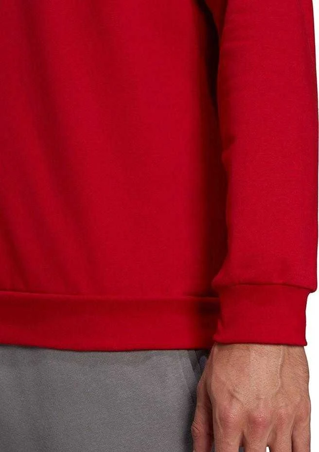 Vyriškas Džemperis adidas Entrada Raudonas HB0577 XL