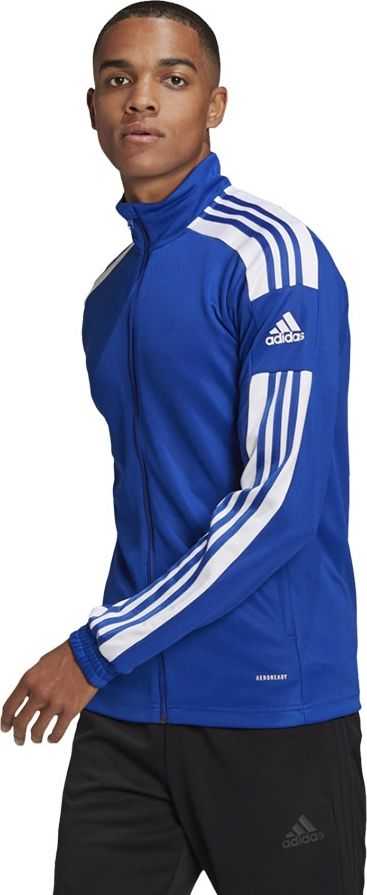 Adidas Squadra 21 Treniruočių M džemperis GP6463