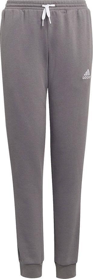 Kelnės vaikams adidas Entrada 22 Sweat Pants pilka H57519 (140cm)