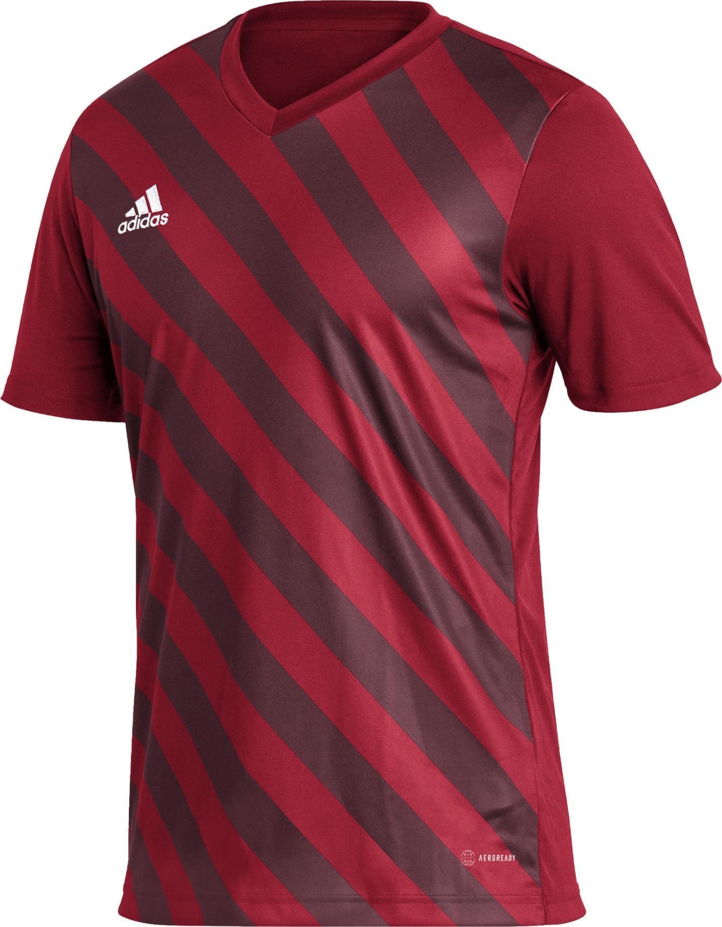 Adidas Entrada 22 grafiniai marškinėliai M HB0572