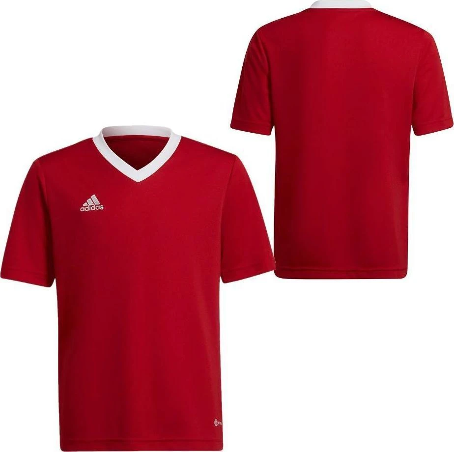 Vaikiški marškinėliai Adidas Entrada 22 Jsy H57496, raudona