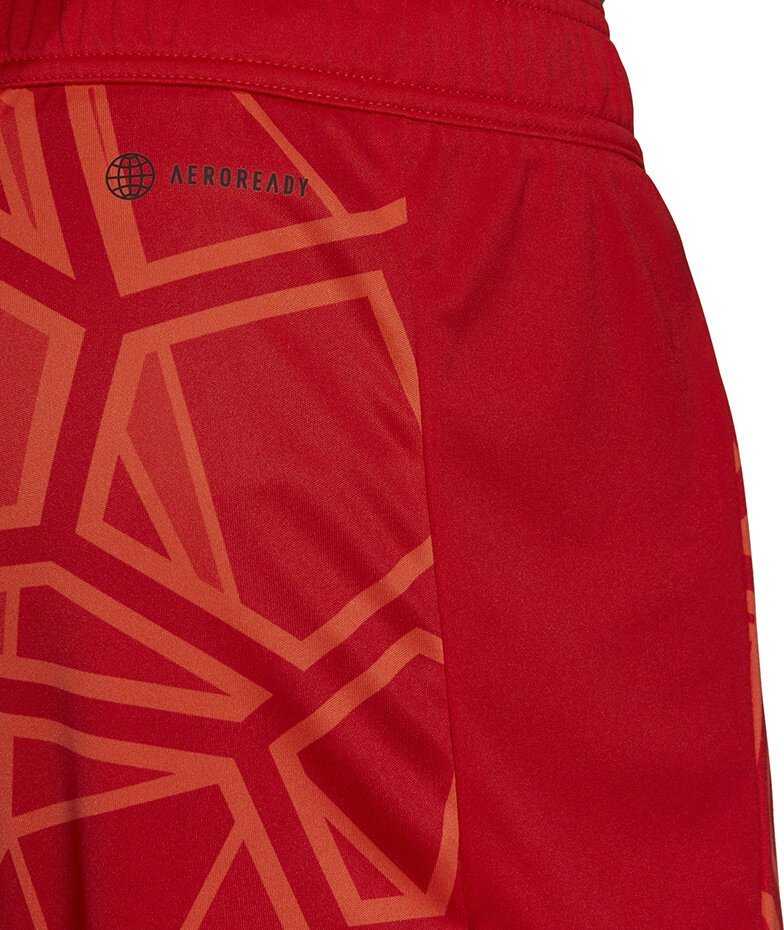 Šortai bramkarskie vyrams adidas Condivo 22 raudona H18814 (XL)