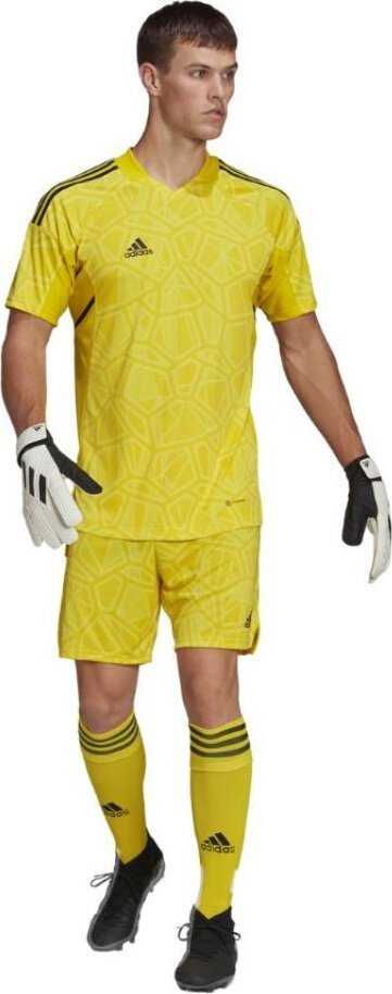 Vyriški marškinėliai adidas Condivo 22 Goalkeeper Jersey Short Sleeve geltona HF0138 (L)