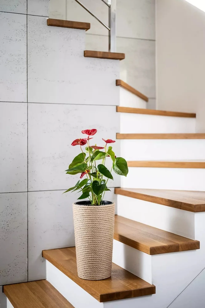 Nezatříděno Adoni Doniczka jutowa boho su wkładem 36 cm – ręcznie robiona (adoni36)