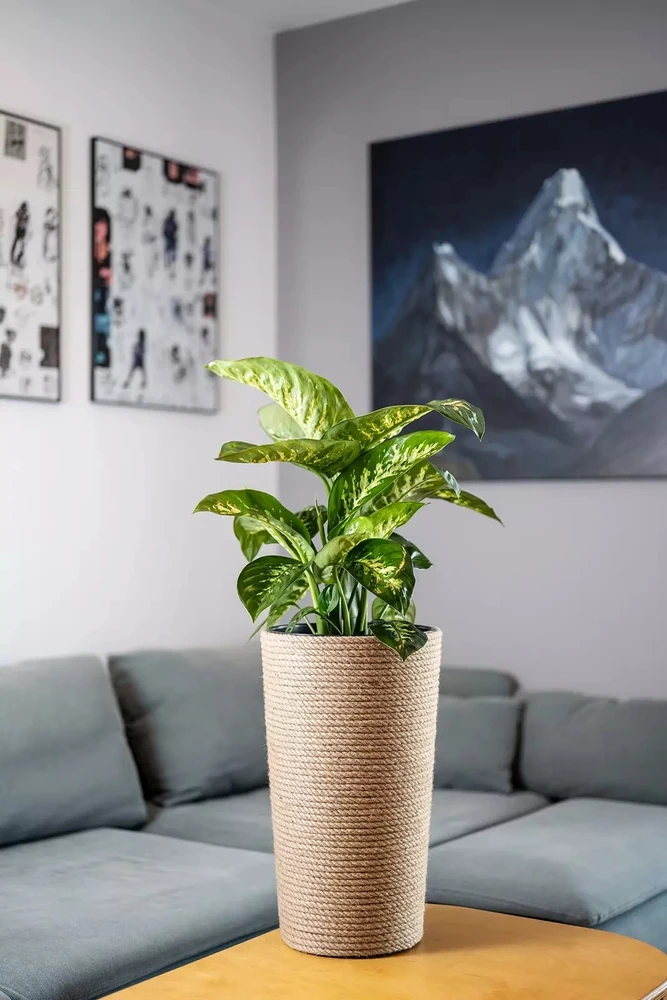 Adoni Jutos vaza boho su įdėklu 47 cm – rankų darbo (adoni47)