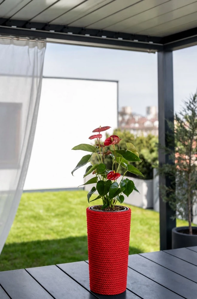 Adoni Doniczka bawełniana raudona su wkładem 36 cm – ręcznie robiona (adoni-ba-red-36)