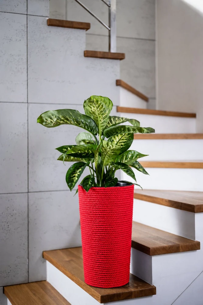 Adoni Doniczka bawełniana raudona su wkładem 47 cm – ręcznie robiona (adoni-ba-red-47)