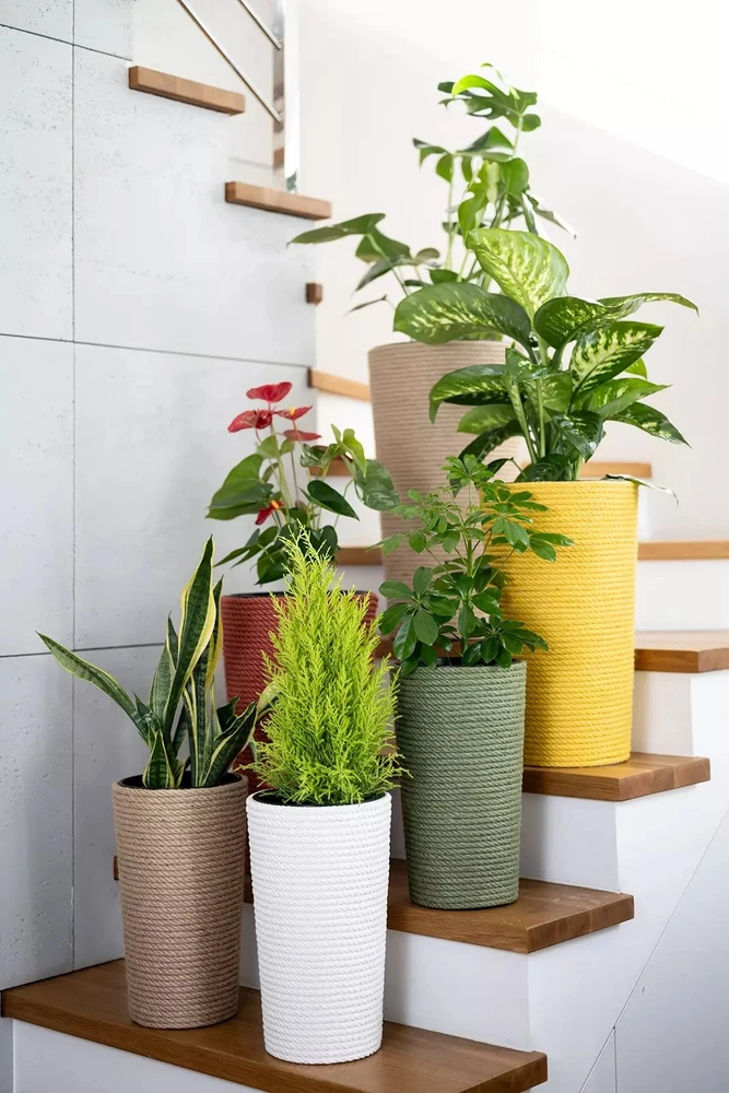 Adoni žalias medvilninis vazonas su įdėklu 28x47 cm – rankų darbo (adoni-ba-grn-47)