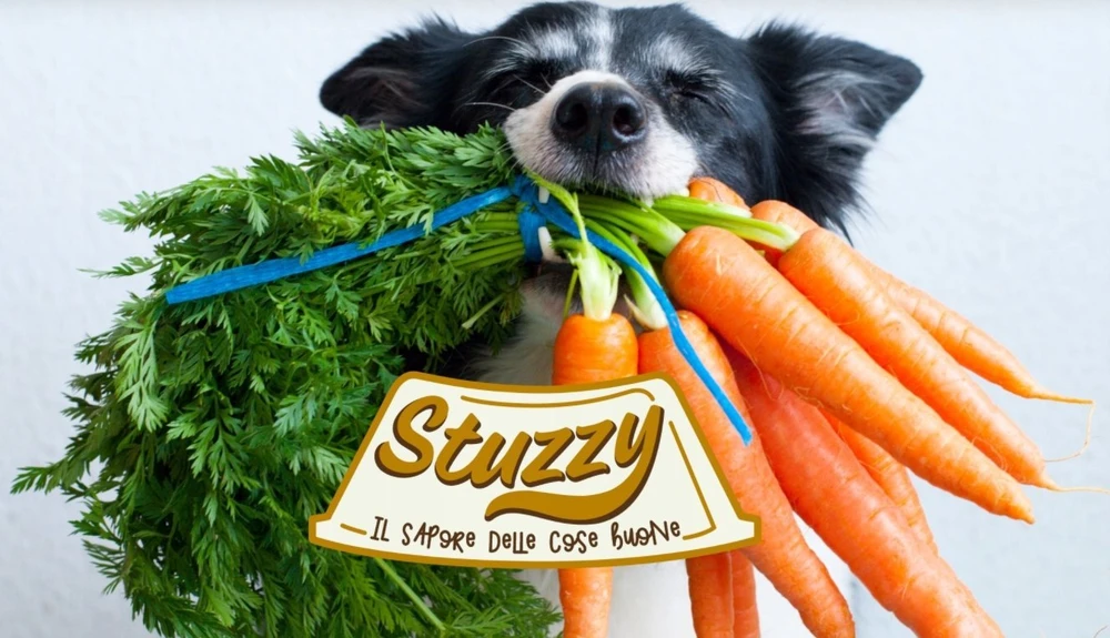 Agras Pet Foods STUZZY Monoprotein jautiena - wet dog food - 800g