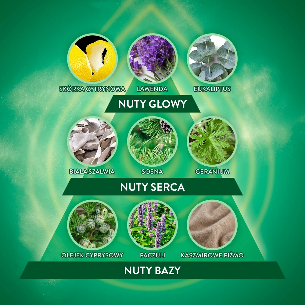 Dėklas AIR WICK Essential Oils Kasetė do elektrycznego odświeżacza powietrza Mėlyna Eukaliptus i Drzewo Cedrowe 19 ml