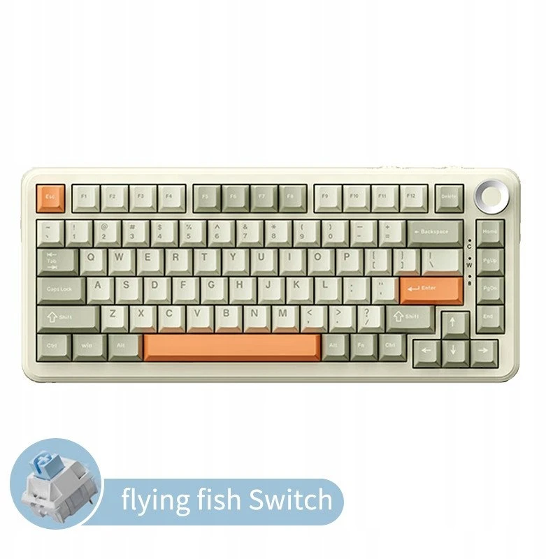Klaviatūra mechaninė su laidu Ajazz AK820 MAX Retro Colour Flying Fish Switch